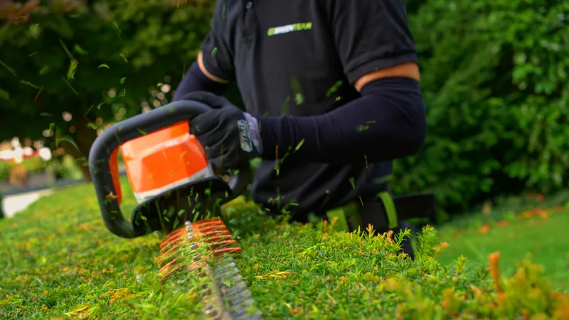 Heckenschnitt in Köln-Zündorf, GreenTeam Gartenpflege professioneller Strauchschnitt