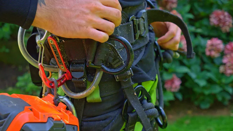 Professionelle Kletterausrüstung für sichere Baumpflege, GreenTeam Köln