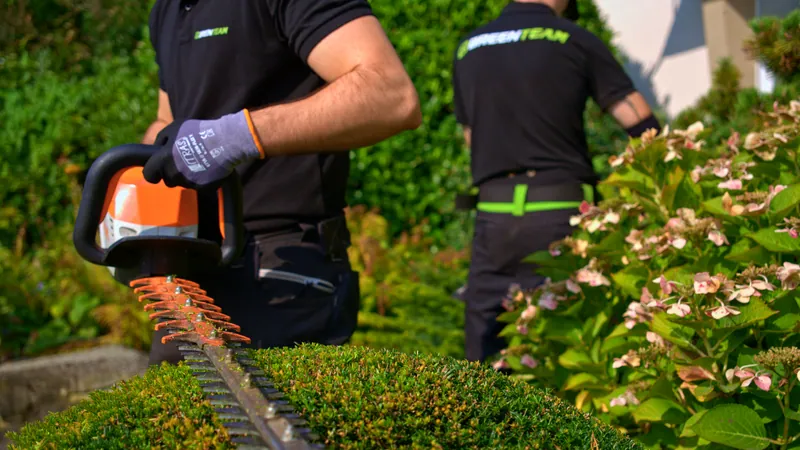 Gartengestaltung Köln-Ensen, GreenTeam schneidet Strauch in Kugelform